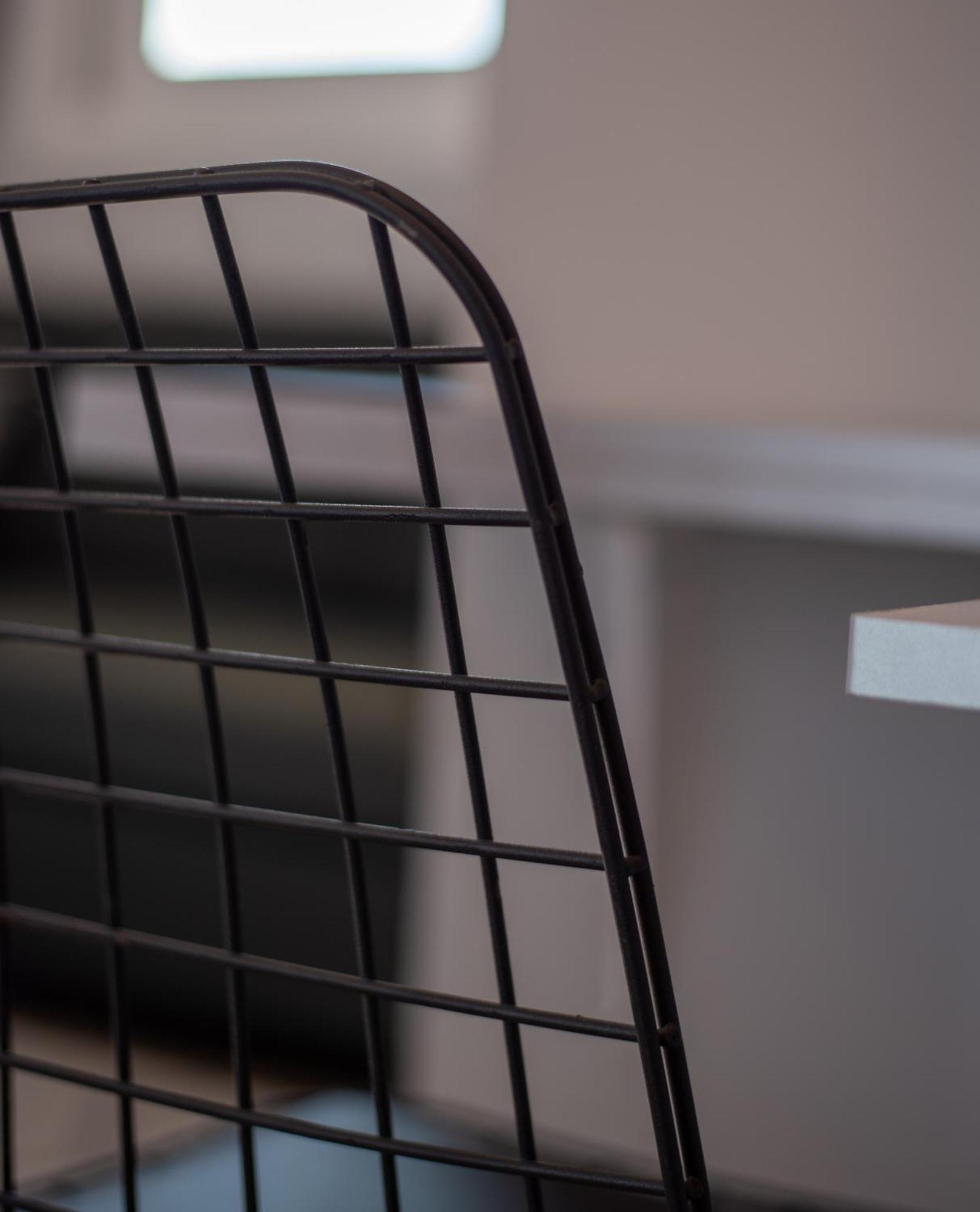 Masticha Apartment Oinofyta Zewnętrze zdjęcie